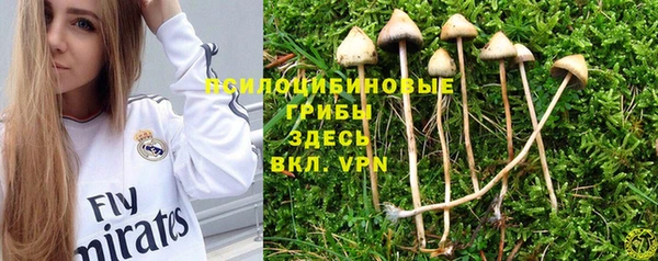прущая мука Беломорск