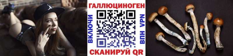 где можно купить   Кстово  Галлюциногенные грибы Psilocybe 